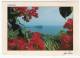 COSTA RICA-PLAYAS DE MANUEL ANTONIO / THEMATIC STAMPS-FLOWERS - Costa Rica