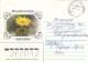 CACTUS, COVER STATIONERY, ENTIERE POSTAUX,  1992, RUSIA - Cactus