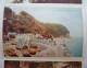 Clovelly - Letter Card - 5 Views - Rose Cottage , High Street (2 Differents) , Gallantry Rocks , From The Hobby Drive - Clovelly