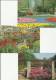 NETHERLANDS 1981 - PACK WITH SET OF 10 POSTCARDS (all Different) - LISSE -(DUNE & BULB) KEUKENHOF NEW - UNUSED- ESTER AP - Lisse