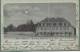 A444 - Hotel BORNOT à CERNAY (SENNHEIM) I Els  Haut Rhin - 1900 -  Editeur NETTER - - Cernay