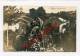 OFFAGNE-Procession-1912-Religion-Animation-CARTE PHOTO-BELGIQUE-BELGIEN- - Paliseul