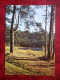 Lake Vaikne At Elva - Estonian Lakes - Pine Trees - 1979 - Estonia - USSR - Unused - Estonia