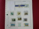 HOLANDA 1998 - THE NEDERLANDS - ALMOST COMPLETE YEAR Y EN HOJAS FILABO (SEE PHOTOS) - Full Years