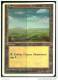 Karte Magic The Gathering  -  Land  -  Ebene  -  Deutsch - Altri & Non Classificati