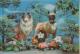 CARTOLINA STEREOSCOPICA--ANIMALI--CANI--BOXER--COLLIE--LASSIE--FUNGHI--FP--V 8-8-67 - Stereoskopie