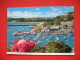 The Harbour From Vane Hill,Torquay - Torquay