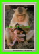 MONKEYS - THE OMNISCIENT THAI MONKEY - THE MONKEY IS CASHING LICE - - Monkeys