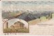 Alpenpanorama Vom Feldberg 1905 - Feldberg