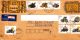 CACTUSSES STAMPS ON AIRMAIL COVER, SENT TO ROMANIA, 1993, SOUTH AFRIKA - Lettres & Documents