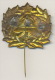 Fireman Cap Badge With Red Star - Pompieri