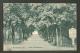 RUSSIA  BELARUS  MOGILEV  1913  DEMBOVETSKIY GARDENS  , OLD POSTCARD  , O - Weißrussland