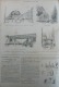 Delcampe - N°1476MONDE 1885:AMBASSADE MAROCAINE A PARIS HIPPODROME LONGCHAMPS/ARRIVEE STATUE LIBERTE A NEW-YORK/METRO - 1850 - 1899