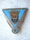 RARE ANCIEN INSIGNE EMAILLE ARMEE DE L'AIR LA BA 121 NANCY ESSEY DRAGO OLIVIER METRA DEPOSE - Airforce