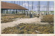 Bahamas Nassau Sponge Market Marché Aux Eponges Timbrée Nassau 1935 Edit Sand's Studio - Bahamas