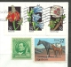 USA Letter To Estonia Estland Estonie 2013 Flowers Horses Etc - Briefe U. Dokumente