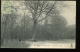 Paris Bois De Vincennes 16 Le Gros Arbre CLC 1906 - District 12