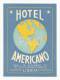 LISBOA &#9830; HOTEL AMERICANO &#9830; PORTUGAL &#9830; VINTAGE LUGGAGE LABEL &#9830; 2 SCANS - Hotel Labels