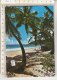 PO9920B# SEYCHELLES - ANSE GAULETTE MAHE   VG 1990 - Seychellen