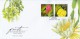 Singapore Stamp FDC: 2008 Joint Issue With Vietnam Fruits Stamp & Souvenir Sheet SG122824 - Singapore (1959-...)