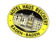 10 Hotel Labels GERMANY Duitsland Allemagne  Hannover Sauerland  Bonn   Baden Baden Godesberg Munster Weimar - Hotel Labels