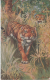 Indian Tiger  Tucks Oilette Post Card # 49323 - Tiger