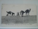 SCENES ET TYPES - DANS LE SUD - LE TRANSPORT DES DATTES A TRAVERS LE SAHARA - 1919 - (EDITIONS IDEALE P.S. N° 408) - Other & Unclassified