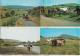 13 POSTCARDS : PFERDE / PAARDEN / CHEVAL / HORSE  (4 Scans) - 5 - 99 Postcards