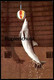 POSTKARTE DELPHINARIUM MÜNSTER WESTFALEN ALLWETTERZOO Delphin-Show Delphine Delfine Delfin Dolphin Dauphin Tierpark Zoo - Delfines