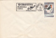 BIRDS, SPARROWS, HORSE, SPECIAL POSTMARK AND STAMP ON COVER, 1989, ROMANIA - Moineaux