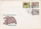 TURTLES, GOATS, FOX, BIRDS, 2X SPECIAL COVERS, 2011, ROMANIA - Schildkröten