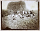 Juan Bautista Alberdi Argentina 1903 Gaucho Cosecha Heno Harvest Hay Moisson Foin En La Granja Francesa De Mr Larrague - Lieux