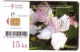 KAPAR - Capparis Spinosa (Croatia Chip Card ) Flora Flore Flower Fleur Flor Blume Fiore Bloem Flowers Fleurs Flors Fiori - Blumen