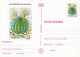 CACTUSSES, 6XPC STATIONERY, ENTIERE POSTAUX, 1997, ROMANIA - Cactus