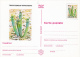 CACTUSSES, 6XPC STATIONERY, ENTIERE POSTAUX, 1997, ROMANIA - Cactus