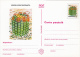 Delcampe - CACTUSSES, 6XPC STATIONERY, ENTIERE POSTAUX, 1997, ROMANIA - Cactus