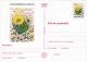 Delcampe - CACTUSSES, 6XPC STATIONERY, ENTIERE POSTAUX, 1997, ROMANIA - Cactus