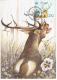 Portugal 1991 Fauna Red Deer Animal Mammal - Cartoline Maximum