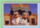 Publicité Mickey's Florida Collection (Mickey And Minnie MGM Studios Tour ) Recto-verso - Autres & Non Classés