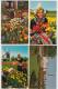 8 OLD POSTCARDS HOLLAND: BLOEMENTOOI / DUTCH FLOWER FIELDS, BULB-TIME, Aalsmeer, Lisse (See  Scans)Fleurs/Flower - 5 - 99 Postkaarten