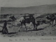 EGYPTE  - Lot De 3 CPA - CHAMEAUX Et BEDOUINS - CHAMELIERS - Non Voyagées - Coll. P. L. - Personen