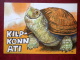 Illustration By R. Järvi - Turtle Ati - 1981 - Estonia USSR - Unused - Turtles