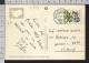 B9199 ISLAND Postal History 1985 FLOWERS SKAFTAFELLSJOKULL OROEFI - Storia Postale