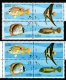 EGYPT / 1982 / FISH / MARINE BIOLOGICAL STATION ; HURGHADA / A VERY RARE COLOR VARIETY / MNH / VF . - Ungebraucht