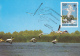 PELICANS,WHITE STORK, CM, MAXICARD, CARTES MAXIMUM, 1986, ROMANIA - Pelicans