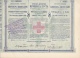 RED CROSS, CROIX - ROUGE  --  OBLIGATION DE 20 FRANCS EN OR  --  SERBIA 1907 - Sonstige & Ohne Zuordnung