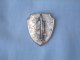 Ancien Insigne Broche C.A.F., Club Alpin Français De Marque Augis à Lyon, Ski (13-2456) - Wintersport