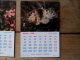 Lot De 20 Calendriers Mensuels Pub EVIAN, Theme Oiseaux Sur 2 Années - Petit Format : 1961-70