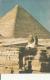 EGYPT  - POSTCARD - GIZA PYRAMIDS & SPHINX - NEW UNUSED FORMAT 14 X 9,5 CMS PERFECT CONDITIONS - Gizeh