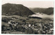 Mariazell    Carte Photo  P  Ledermann - Mariazell